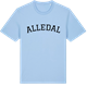 Blue Soul t-shirt med Alledal böjd t-shirt