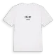 Fjället i Sverige t-shirt