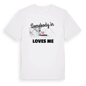 Någon i Fylleholm älskar mig t-shirt – ekologisk bomull t-shirt från Pinshirt