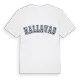Hallavad college t-shirt
