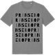Mid Heather Gray t-shirt med Prinsebo ordlek t-shirt