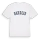 Sandlid college t-shirt