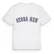 Stora Hem college t-shirt