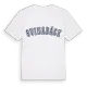 Svinabäck college t-shirt