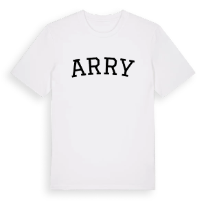 Arry böjd t-shirt – ekologisk bomull t-shirt från Pinshirt