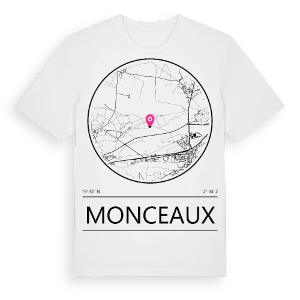 Monceaux t-shirt – ekologisk bomull t-shirt från Pinshirt