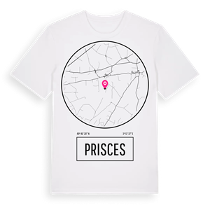 Prisces t-shirt – ekologisk bomull t-shirt från Pinshirt