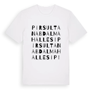 Pir Sultan Abdal Mahallesi ordlek t-shirt – ekologisk bomull t-shirt från Pinshirt