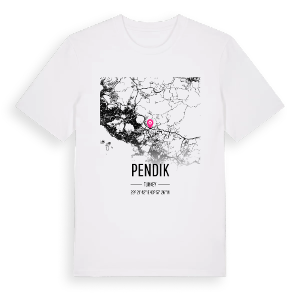 Pendik karta t-shirt – ekologisk bomull t-shirt från Pinshirt