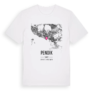 Pendik karta t-shirt – ekologisk bomull t-shirt från Pinshirt