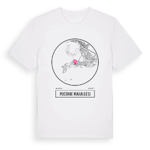 Postane Mahallesi t-shirt – ekologisk bomull t-shirt från Pinshirt