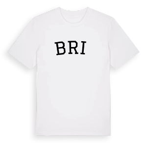 Brič böjd t-shirt – ekologisk bomull t-shirt från Pinshirt
