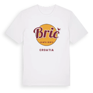 Brič cirkel t-shirt – ekologisk bomull t-shirt från Pinshirt