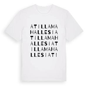 Atilla Mahallesi ordlek t-shirt – ekologisk bomull t-shirt från Pinshirt
