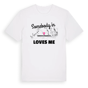 Någon i Barbaros Mahallesi älskar mig t-shirt – ekologisk bomull t-shirt från Pinshirt