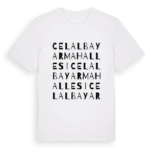 Celal Bayar Mahallesi ordlek t-shirt – ekologisk bomull t-shirt från Pinshirt