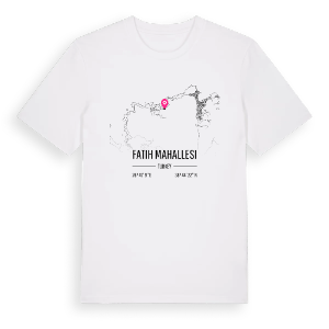 Fatih Mahallesi karta t-shirt – ekologisk bomull t-shirt från Pinshirt