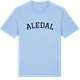 Blue Soul t-shirt med Aledal böjd t-shirt