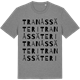 Mid Heather Gray t-shirt med Tranås säteri ordlek t-shirt