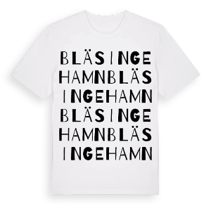 Bläsinge hamn ordlek t-shirt – ekologisk bomull t-shirt från Pinshirt