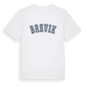 Brevik college t-shirt – ekologisk bomull t-shirt från Pinshirt