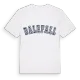 Dalefall college t-shirt
