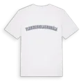 Flemmingelandsmåla college t-shirt