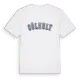 Gölhult college t-shirt