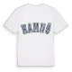 Hamnö college t-shirt