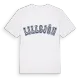 Lillsjön college t-shirt