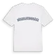 Söderlandsbråna college t-shirt