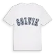 Solvik college t-shirt