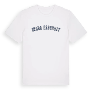 Stora Ebbehult college t-shirt – ekologisk bomull t-shirt från Pinshirt