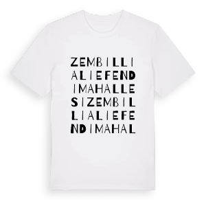 Zembilli Ali Efendi Mahallesi ordlek t-shirt – ekologisk bomull t-shirt från Pinshirt