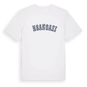 İhsangazi college t-shirt – ekologisk bomull t-shirt från Pinshirt