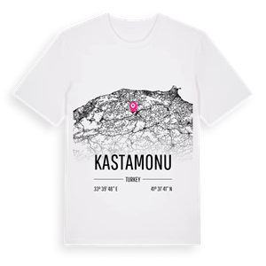Kastamonu karta t-shirt – ekologisk bomull t-shirt från Pinshirt