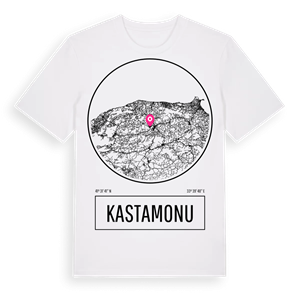 Kastamonu t-shirt – ekologisk bomull t-shirt från Pinshirt