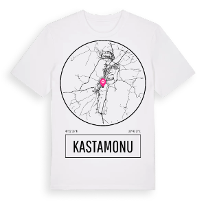 Kastamonu t-shirt – ekologisk bomull t-shirt från Pinshirt