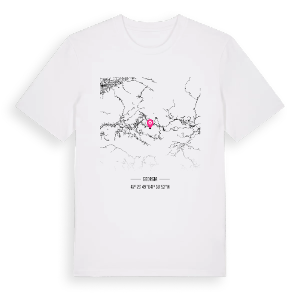 ხულოს მუნიციპალიტეტი karta t-shirt – ekologisk bomull t-shirt från Pinshirt