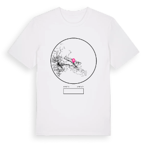ახმეტის მუნიციპალიტეტი t-shirt – ekologisk bomull t-shirt från Pinshirt