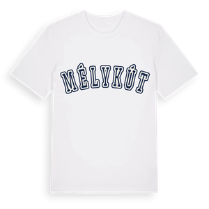 Mélykút college t-shirt – ekologisk bomull t-shirt från Pinshirt