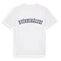 Nyírmihálydi college t-shirt