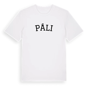 Páli böjd t-shirt – ekologisk bomull t-shirt från Pinshirt