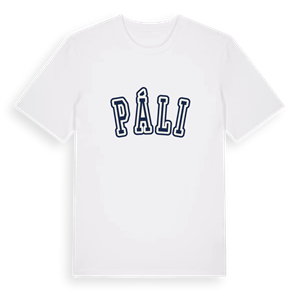 Páli college t-shirt – ekologisk bomull t-shirt från Pinshirt