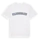 Pilisborosjenő college t-shirt