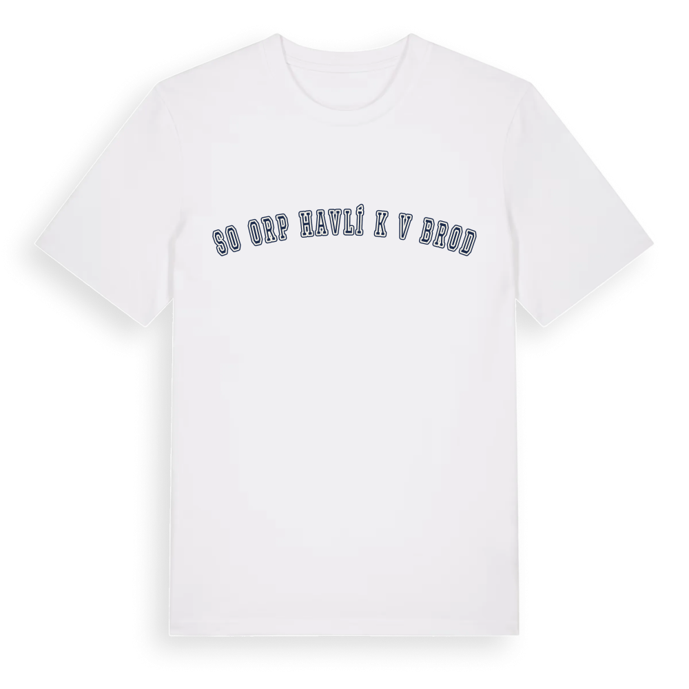 SO ORP Havlíčkův Brod college t-shirt – White, i miljö