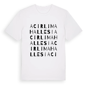 Acırlı Mahallesi ordlek t-shirt – ekologisk bomull t-shirt från Pinshirt