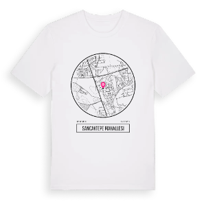 Sancaktepe Mahallesi t-shirt – ekologisk bomull t-shirt från Pinshirt