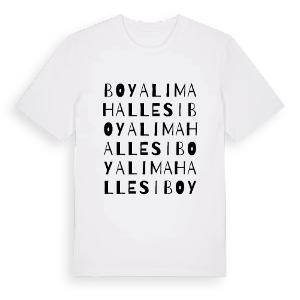 Boyalı Mahallesi ordlek t-shirt – ekologisk bomull t-shirt från Pinshirt