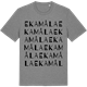 Mid Heather Gray t-shirt med Ekamåla ordlek t-shirt